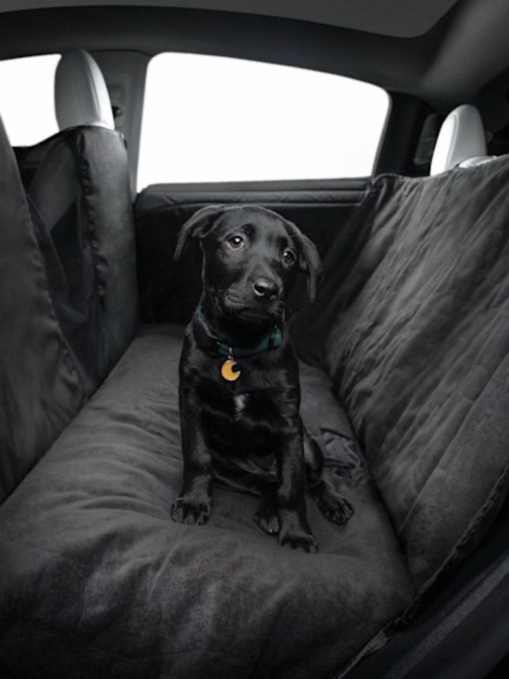 Premium Black Dog Car Seat Cover - Protective Backseat Liner Tesla